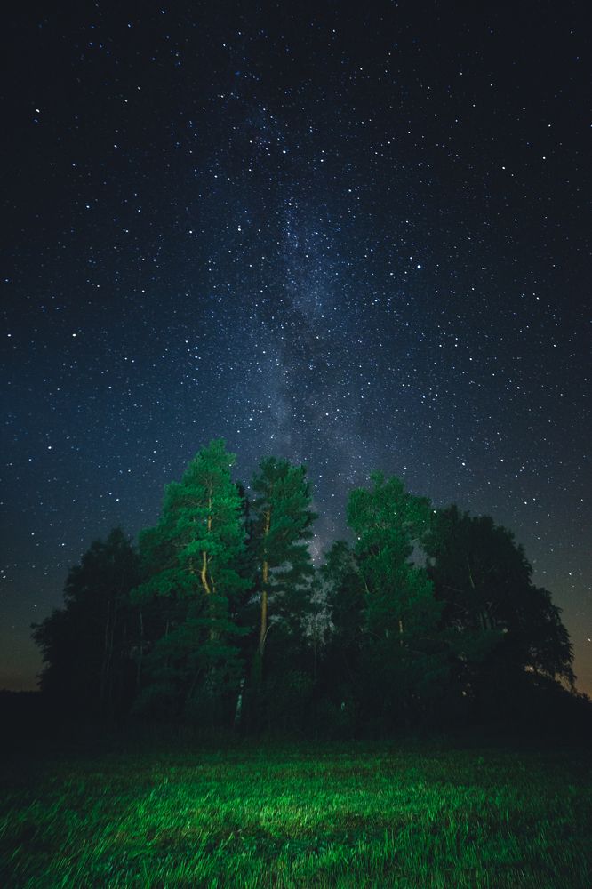 Photograph by Daniil