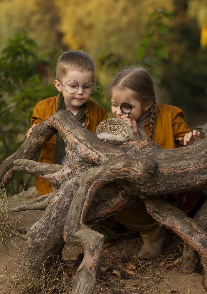 юные исследователи
