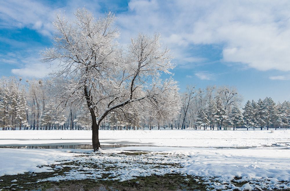 Городской парк..