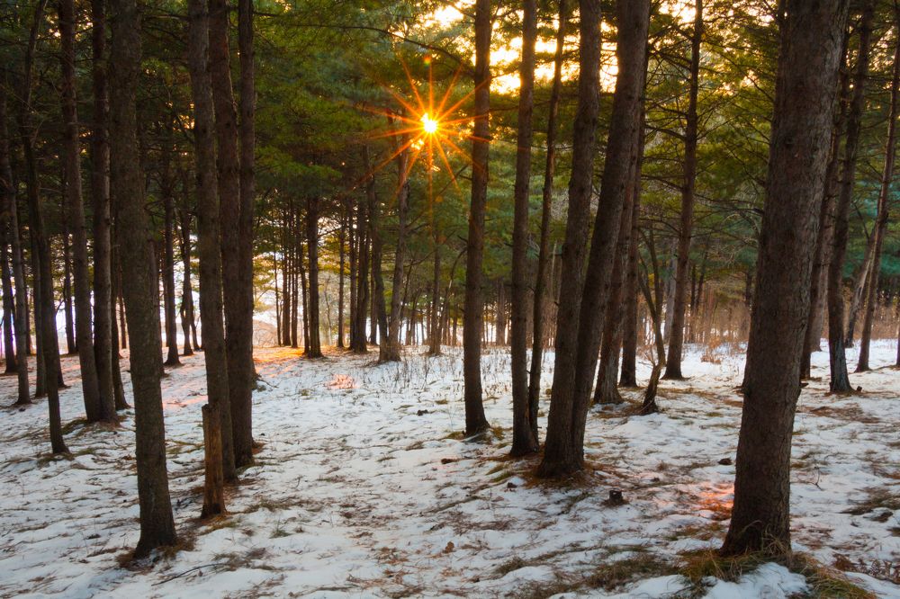 Солнышко лучистое..