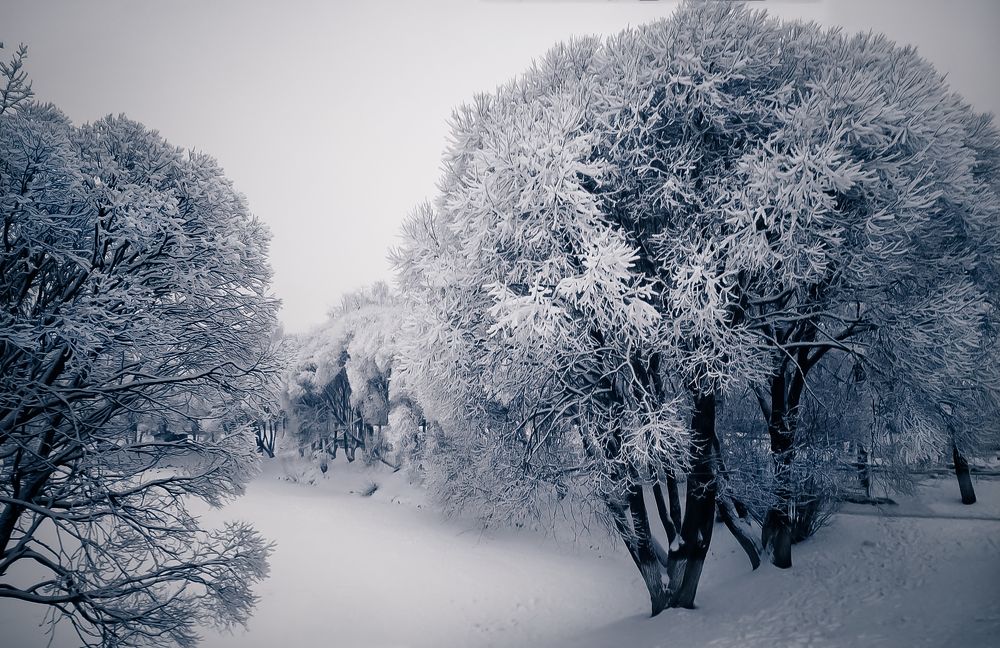 Зимний пейзаж