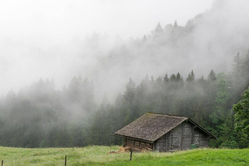 Фотография автора Андрей Симонов