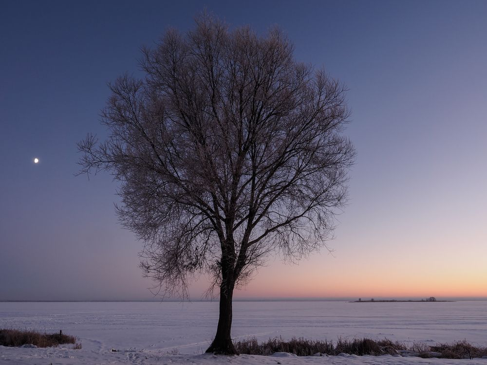 На озере Неро. Ярославская область.