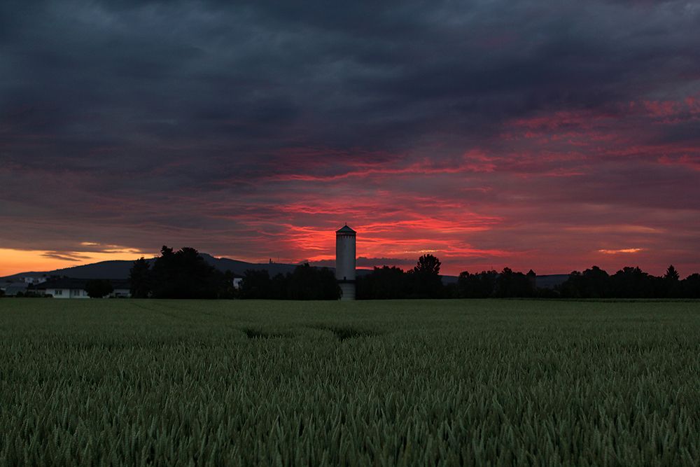 Закат в поле