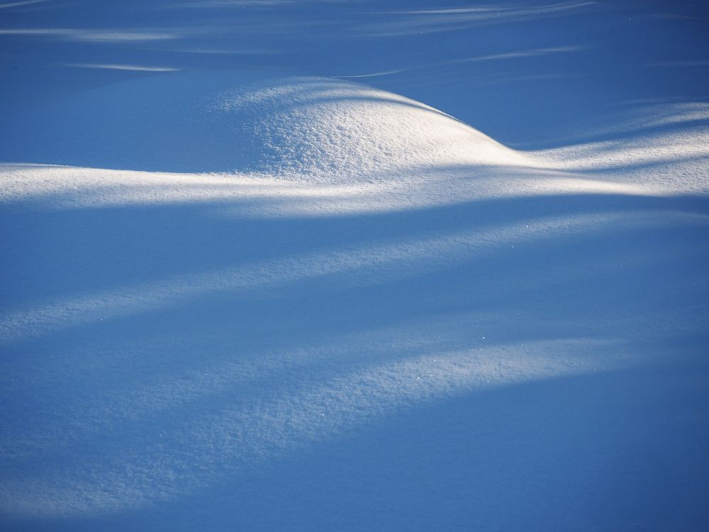 Снежные фантазии