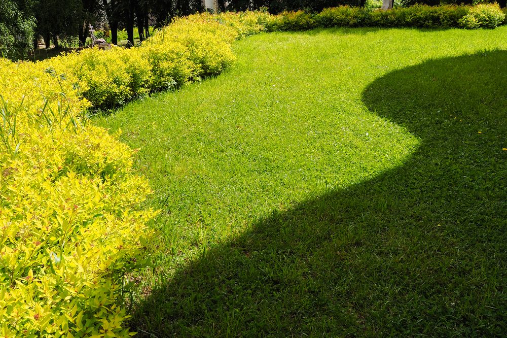 Без названия