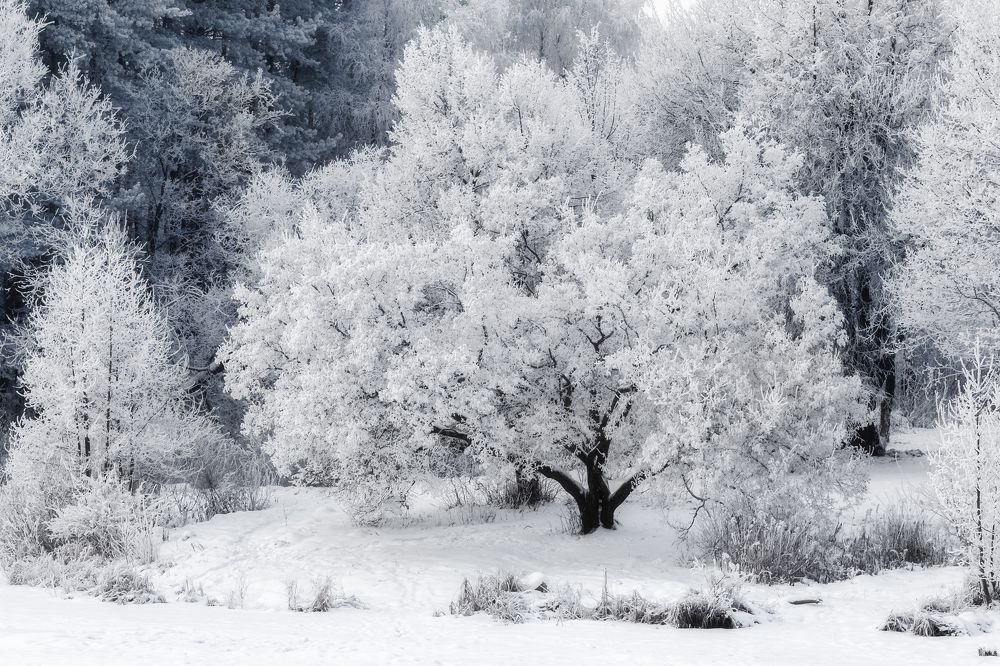 Сказочная зима