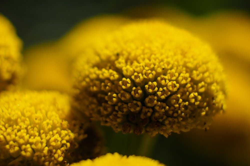 Без названия