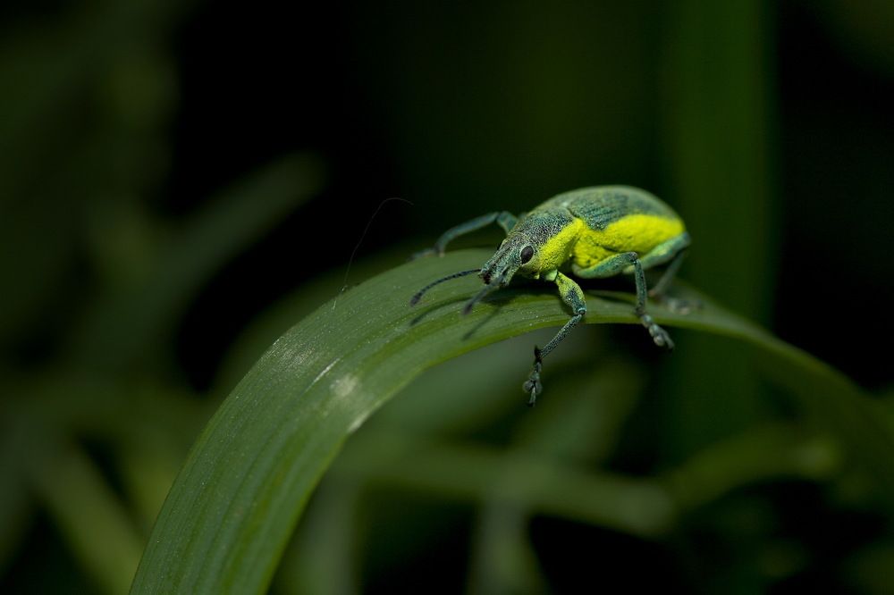 дорога домой