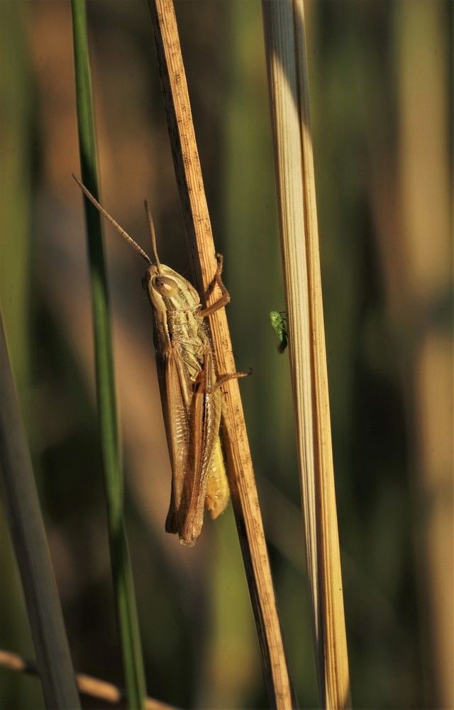 Me and my little friend