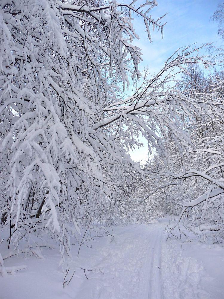 Снежное кружево.