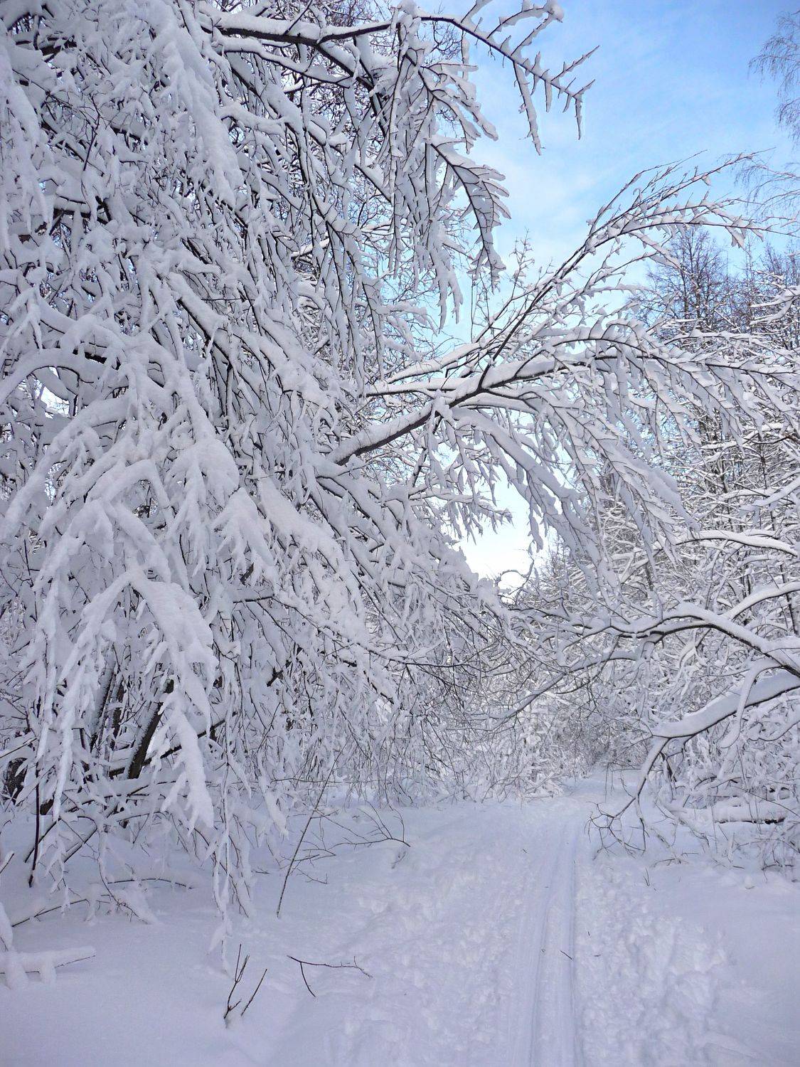 Снежное кружево.