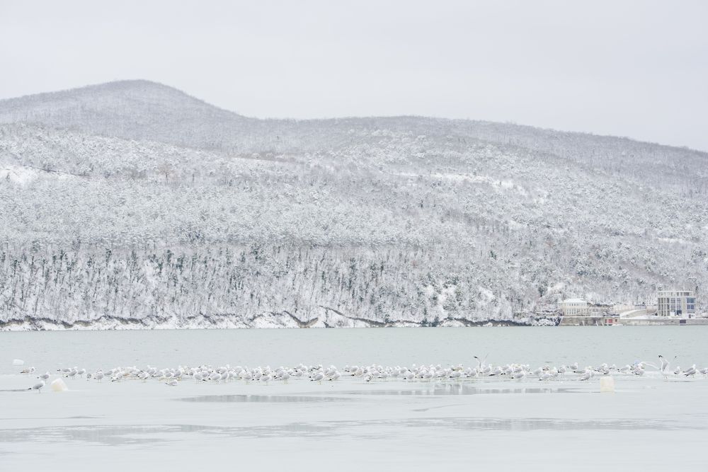 Белое настроение