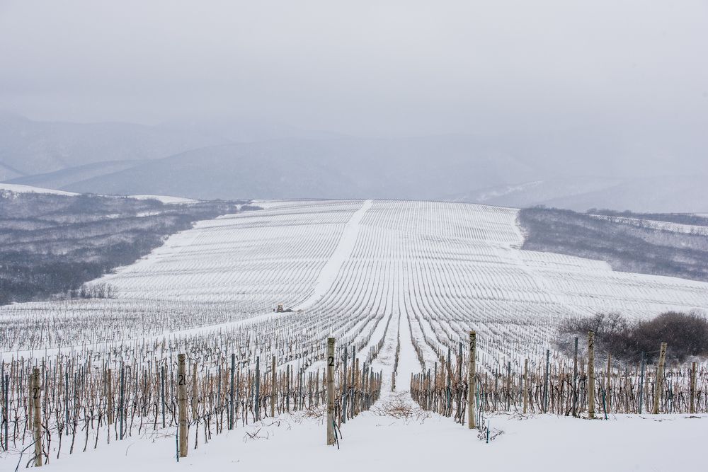 Тишина. Пустота.