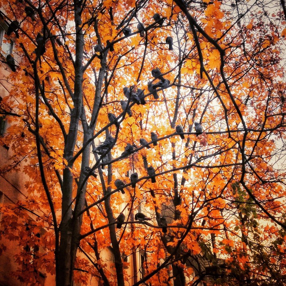 Зима Севастополя)))