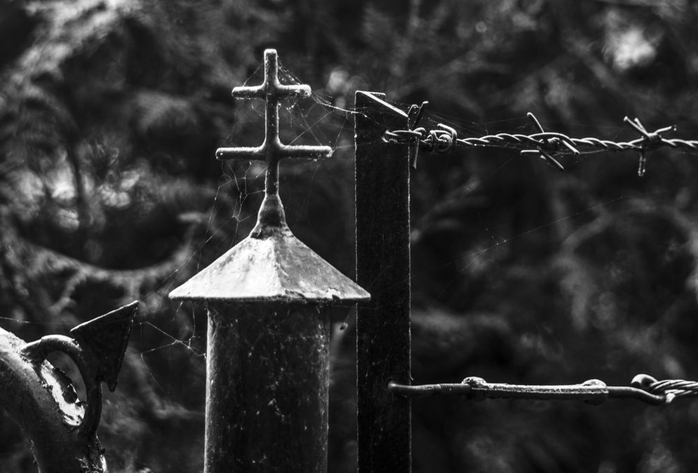 Cross