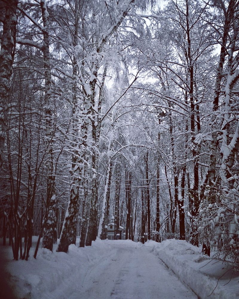 Зимний пейзаж