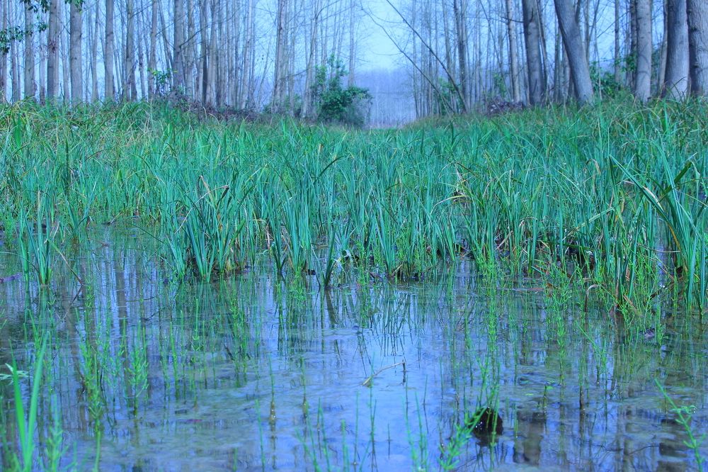 Photograph by Khorshid majidi