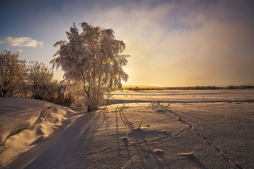 Следы на снегу