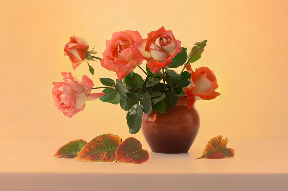 осенние розы,,