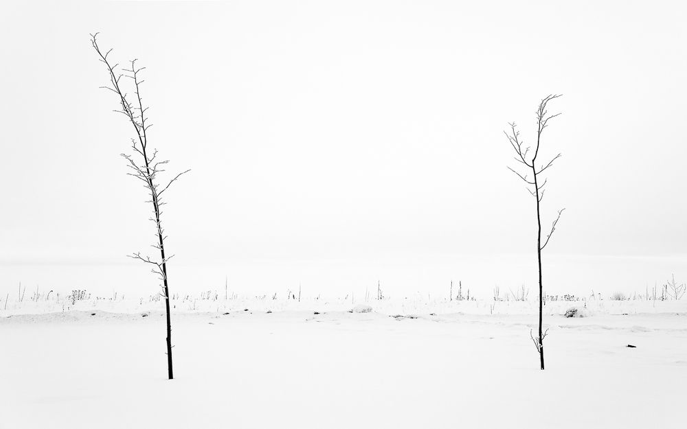 Белое безмолвие