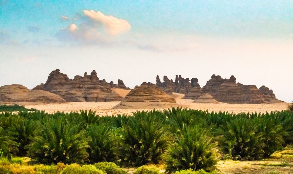 Arabian Desert Oasis