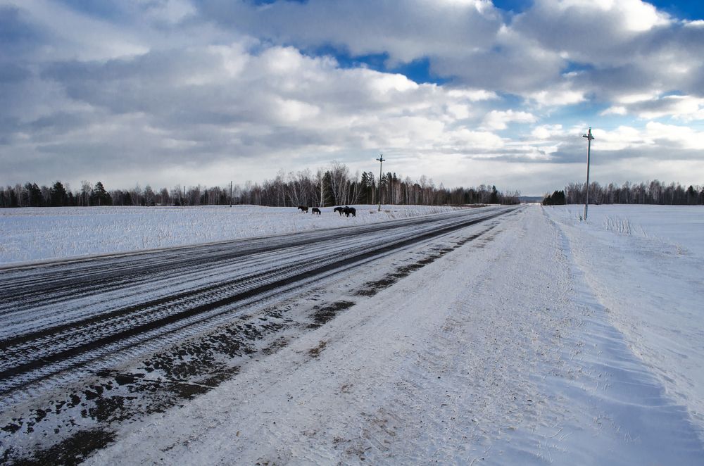 Дорога в облака
