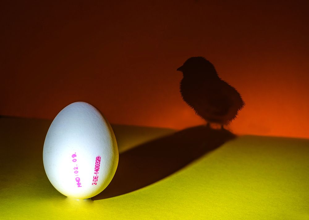 eagle or scrambled egg  -  thats the question