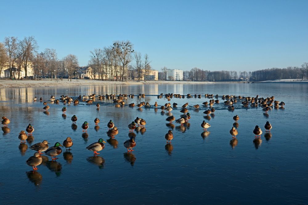 Перед Крещением