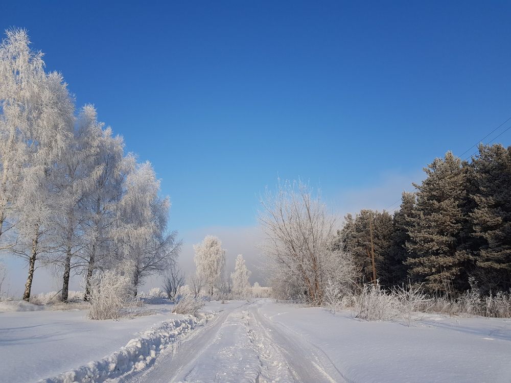 Дорога к бабушке