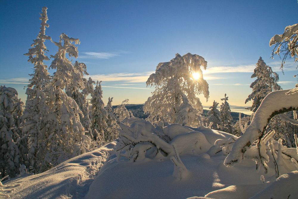 Солнечный денёк...