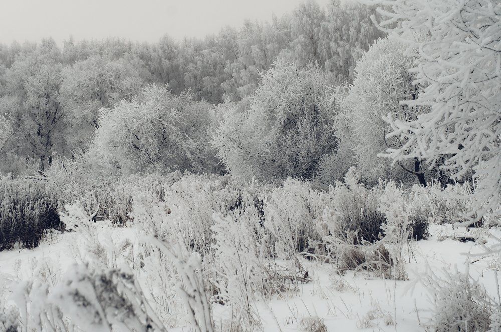 Photograph by Сергей Забиякин