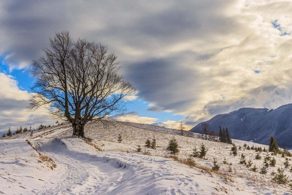 Карпати. Україна.