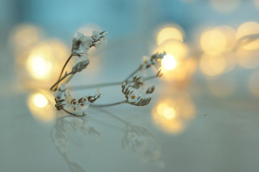 Photograph by Алёна Бушвехтерс