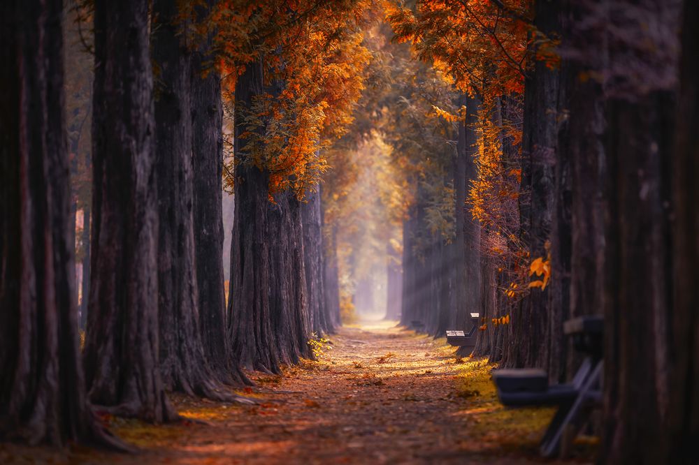 At the end of Autumn