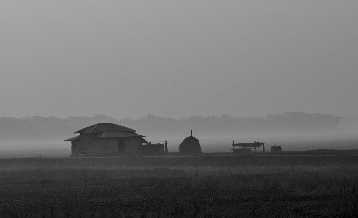 Winter morning