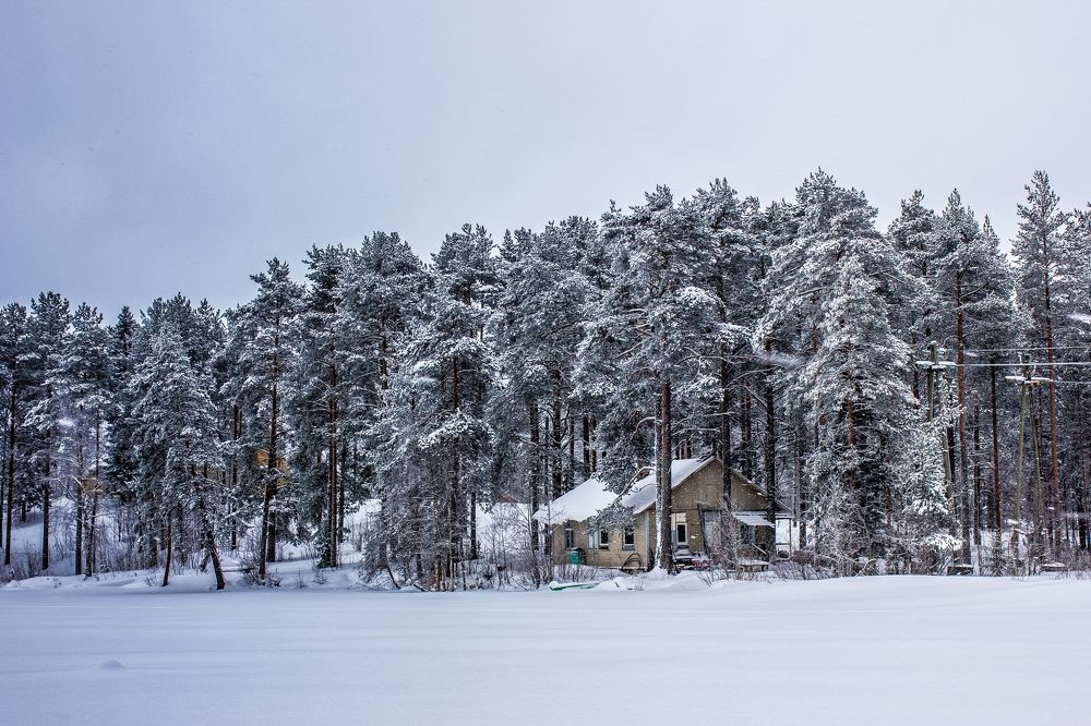 Снежный пейзаж.