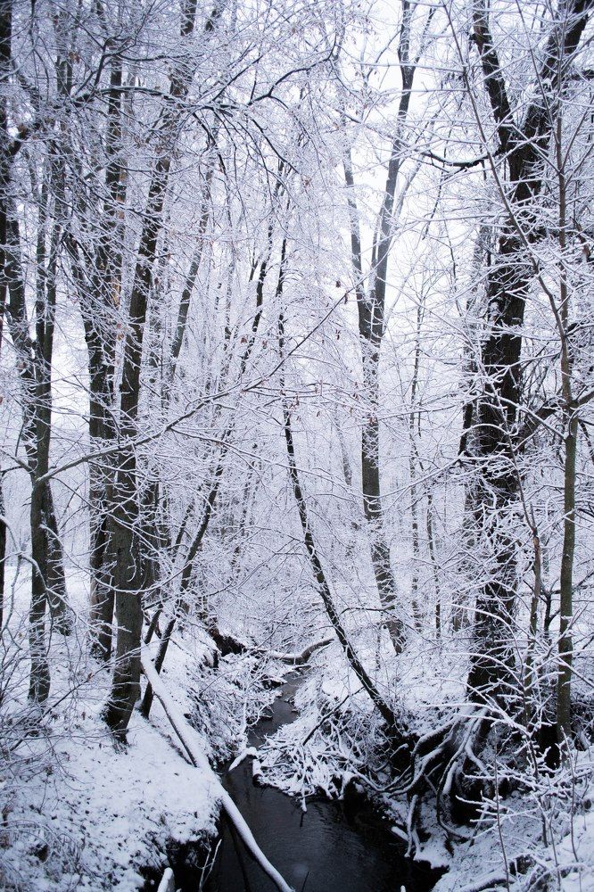 Photograph by Полина