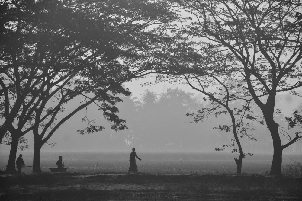 Winter morning