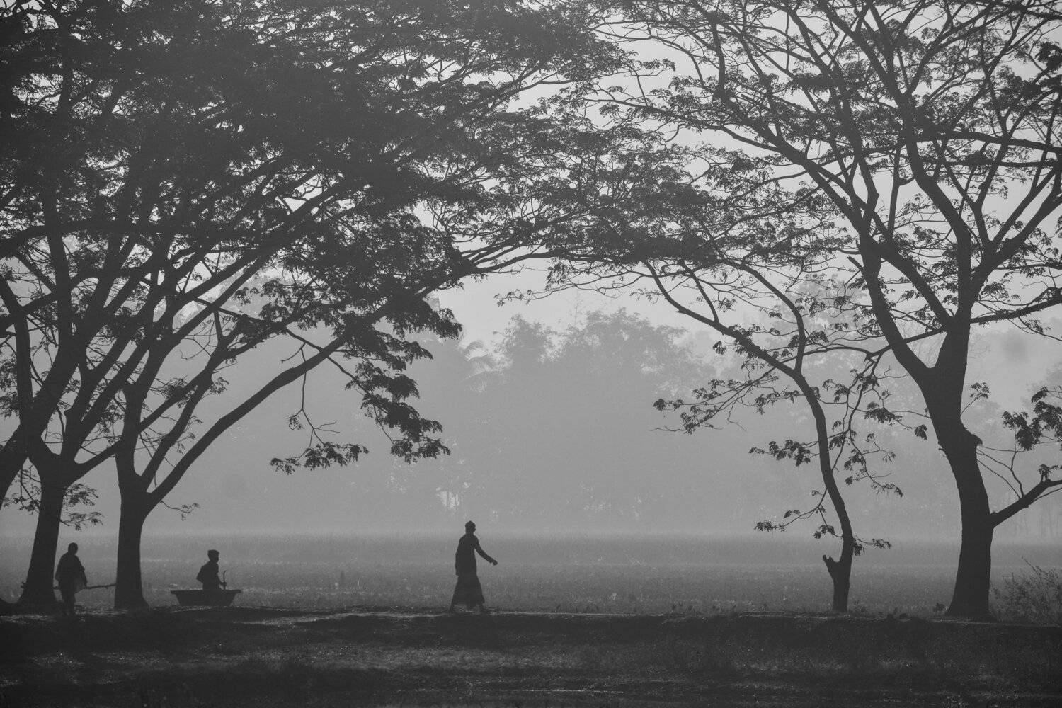 Winter morning