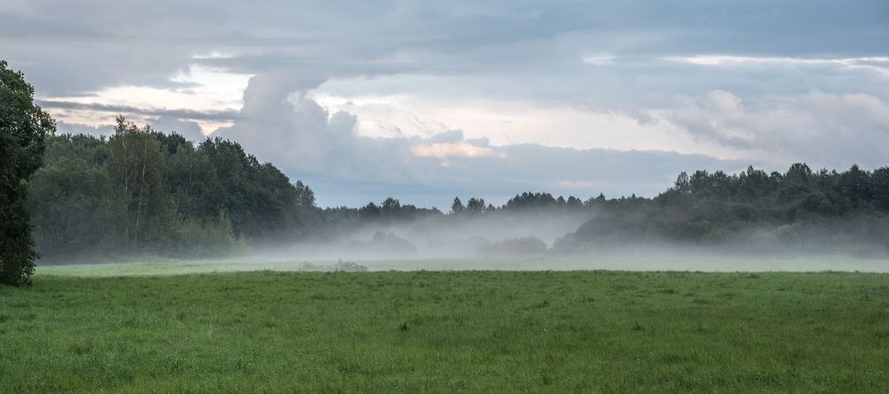 Mist on the field
