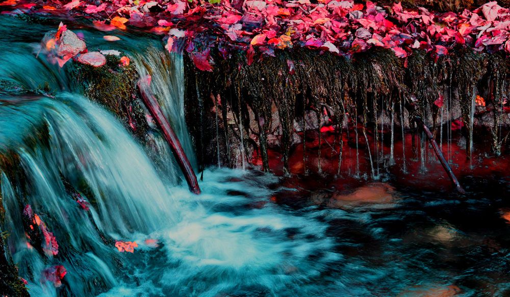 Red Waterfall