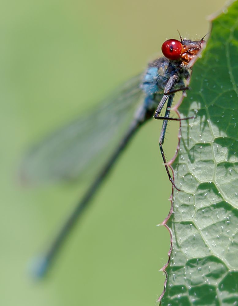 я стесняюсь