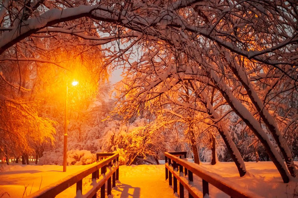 Симметрия и ассиметрия