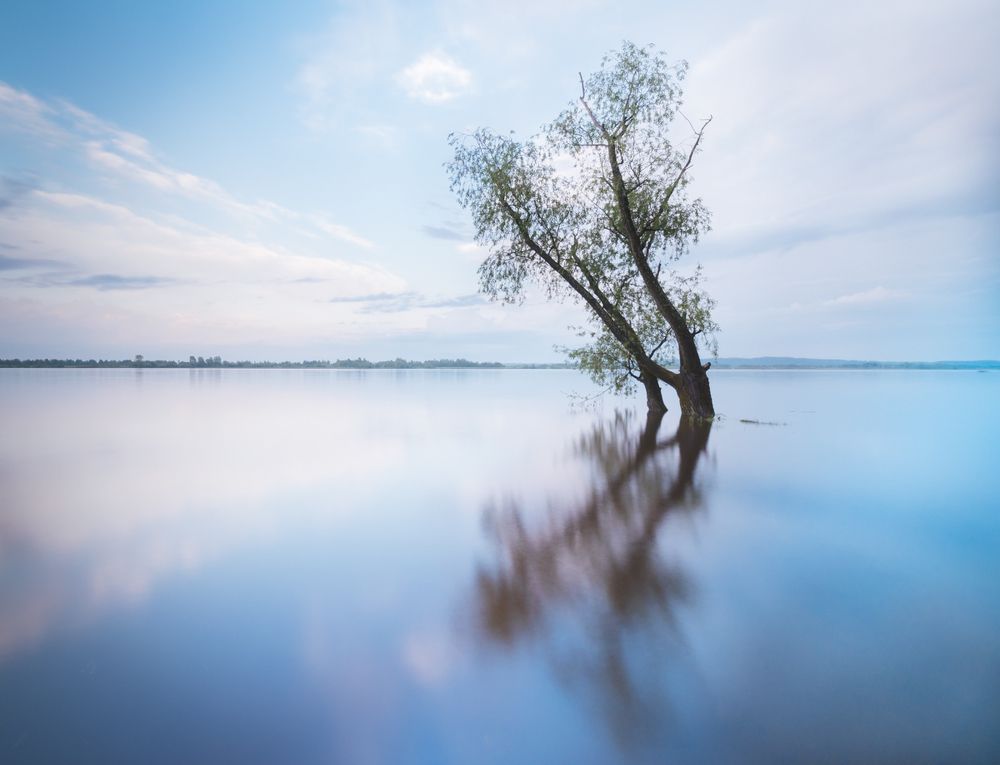 Зеркало неба