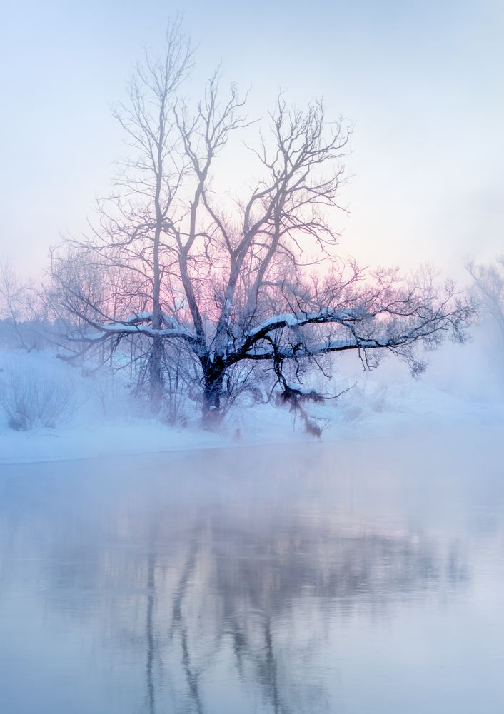 В морозном воздухе растаял лёгкий дым