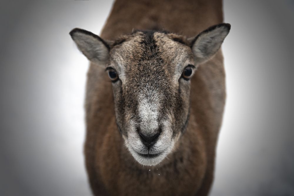 Photograph by Александр Козленков