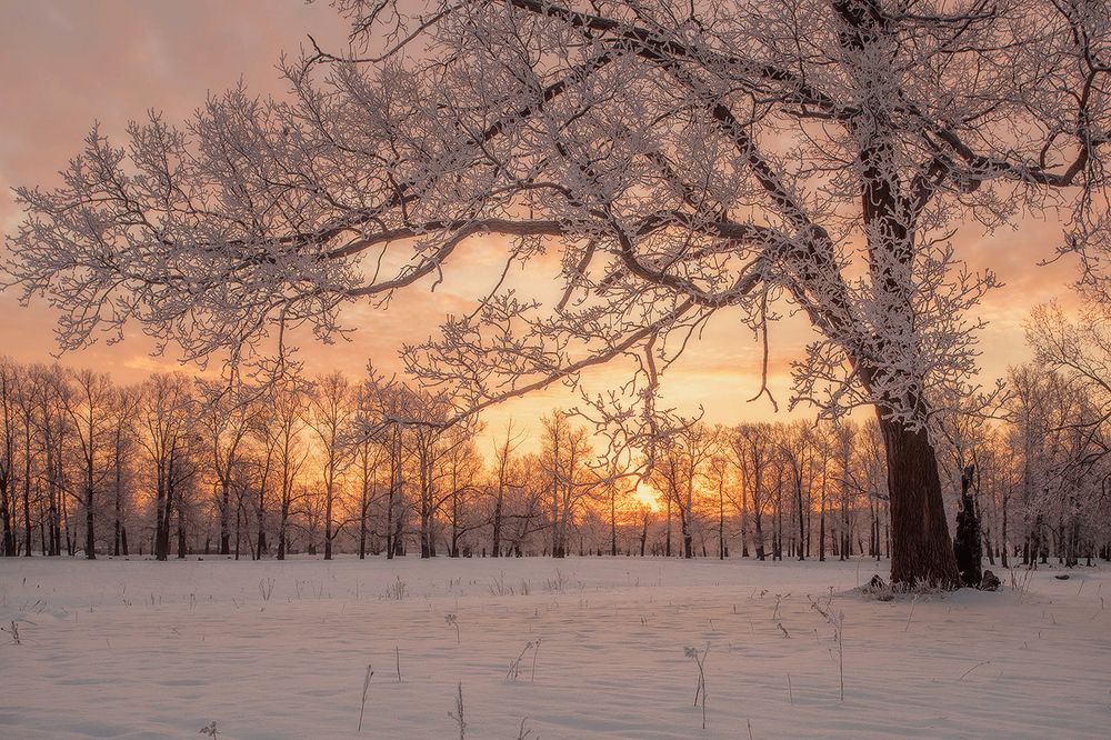 Зимние краски