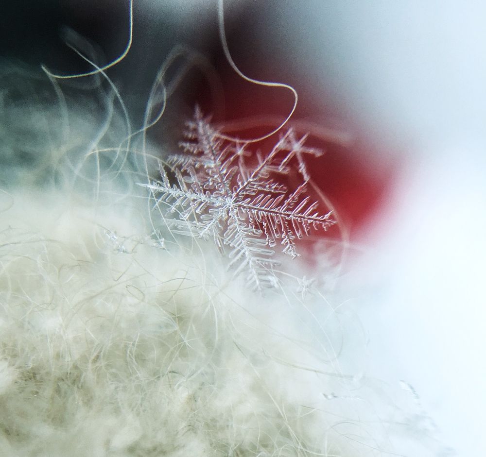 Photograph by Диана Нигматова