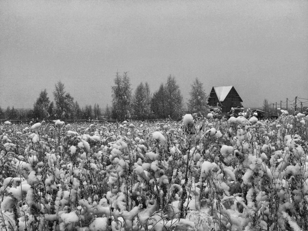 Photograph by Сергей Носов